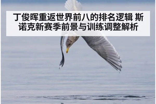 丁俊晖重返世界前八的排名逻辑 斯诺克新赛季前景与训练调整解析